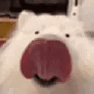 DINA