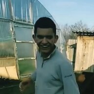 Ушастик