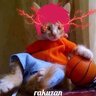 Hateverzzxxdd