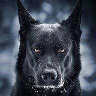 Паника