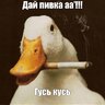 гусь и вампир